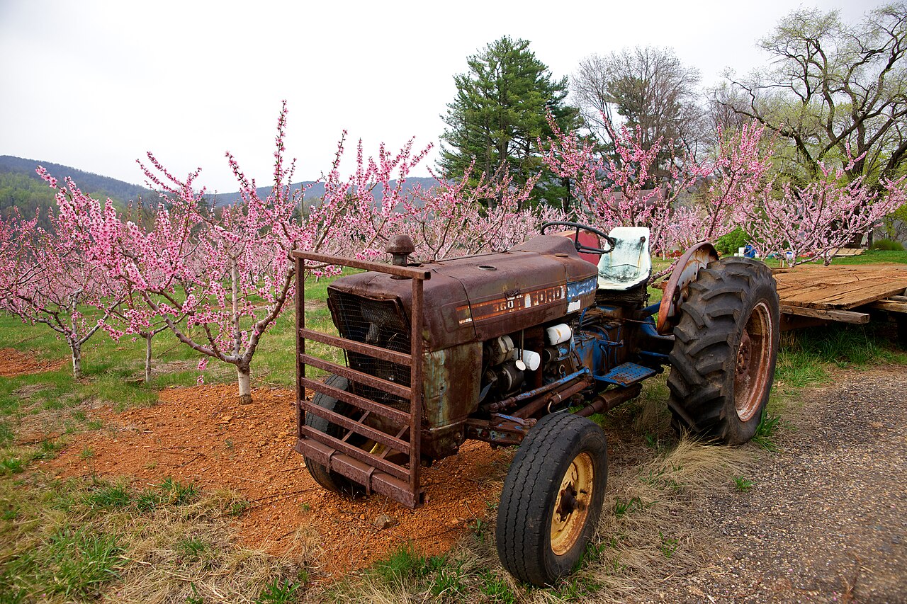 Ford 3600