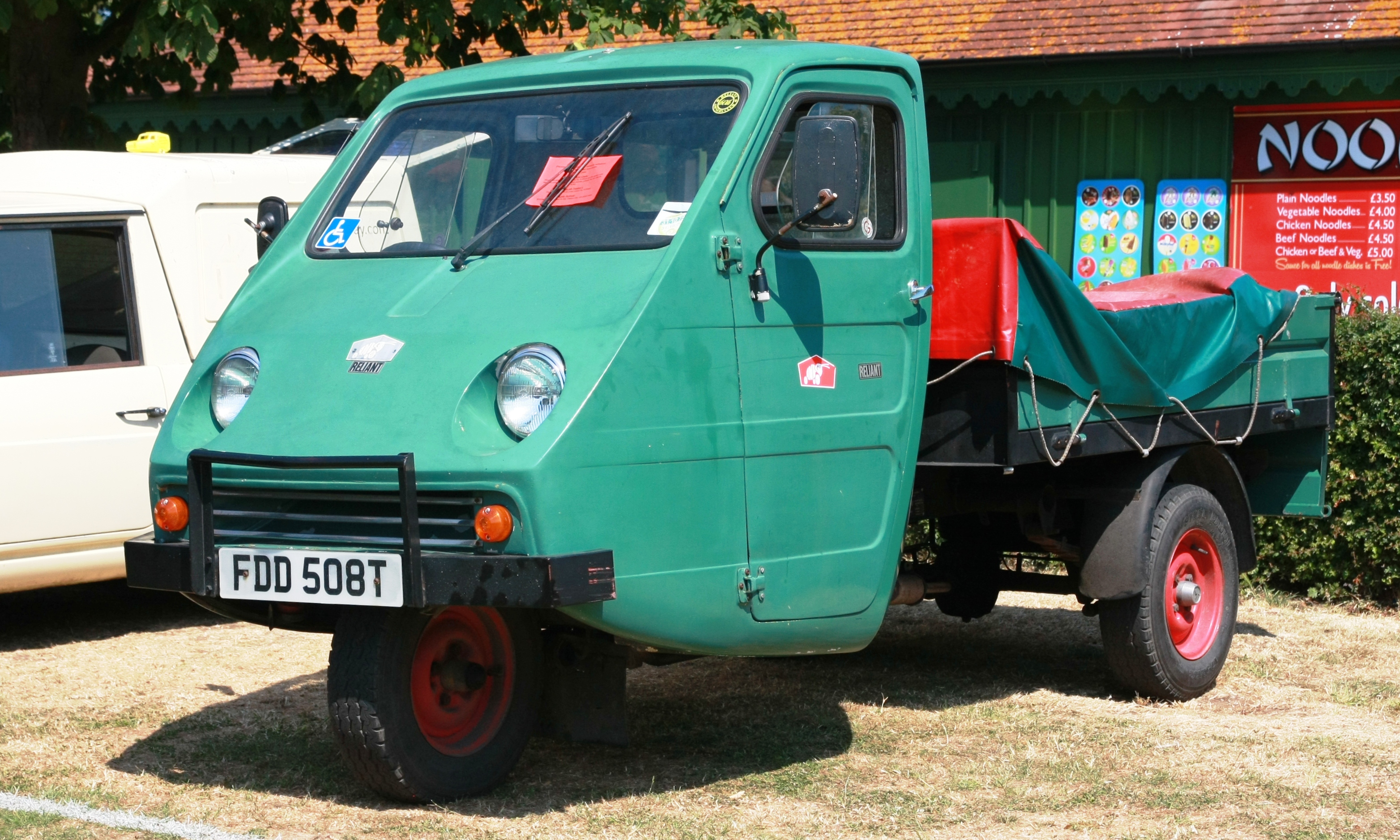 Reliant Ant