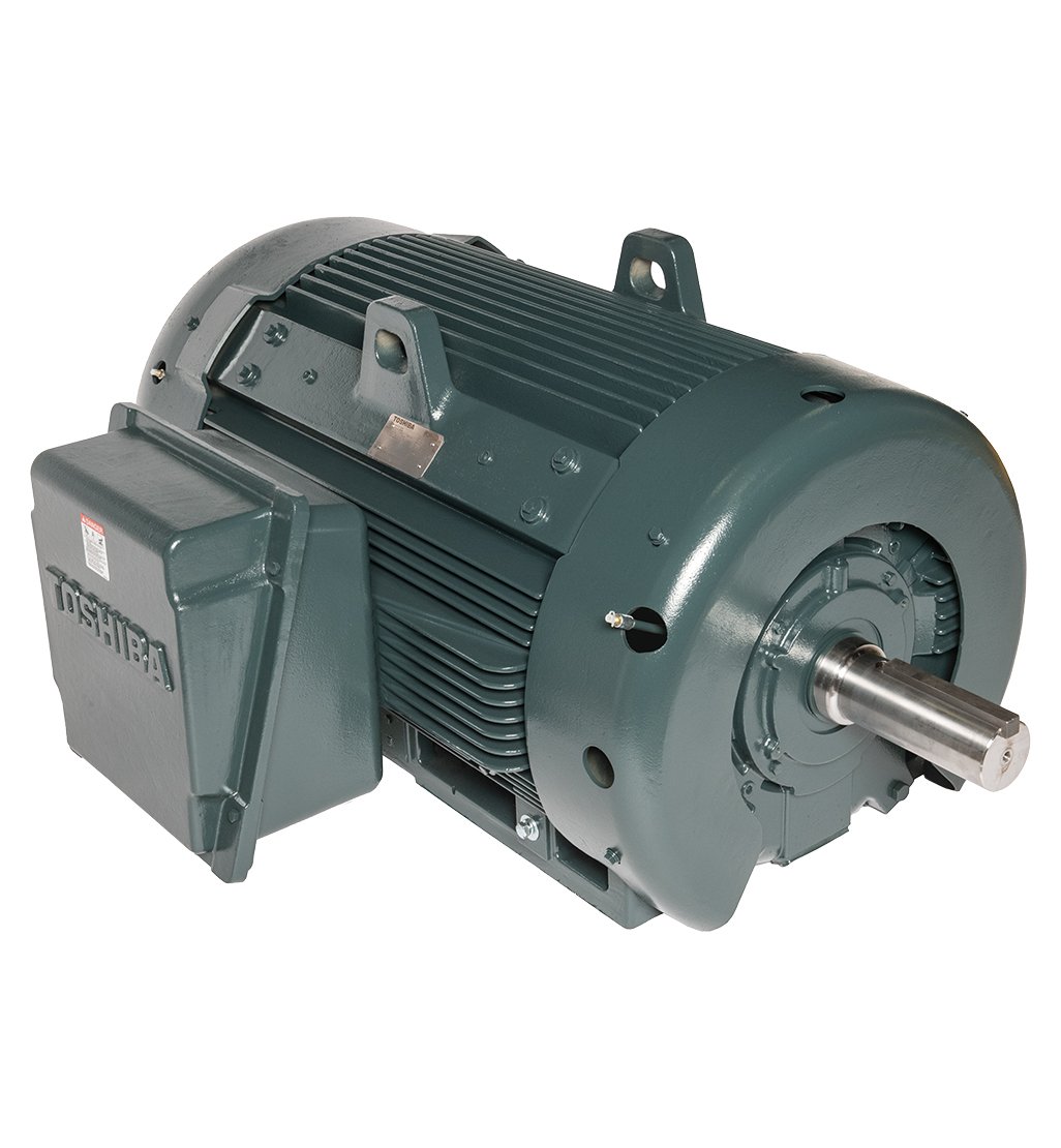 Electric motor Toshiba CD160M-6