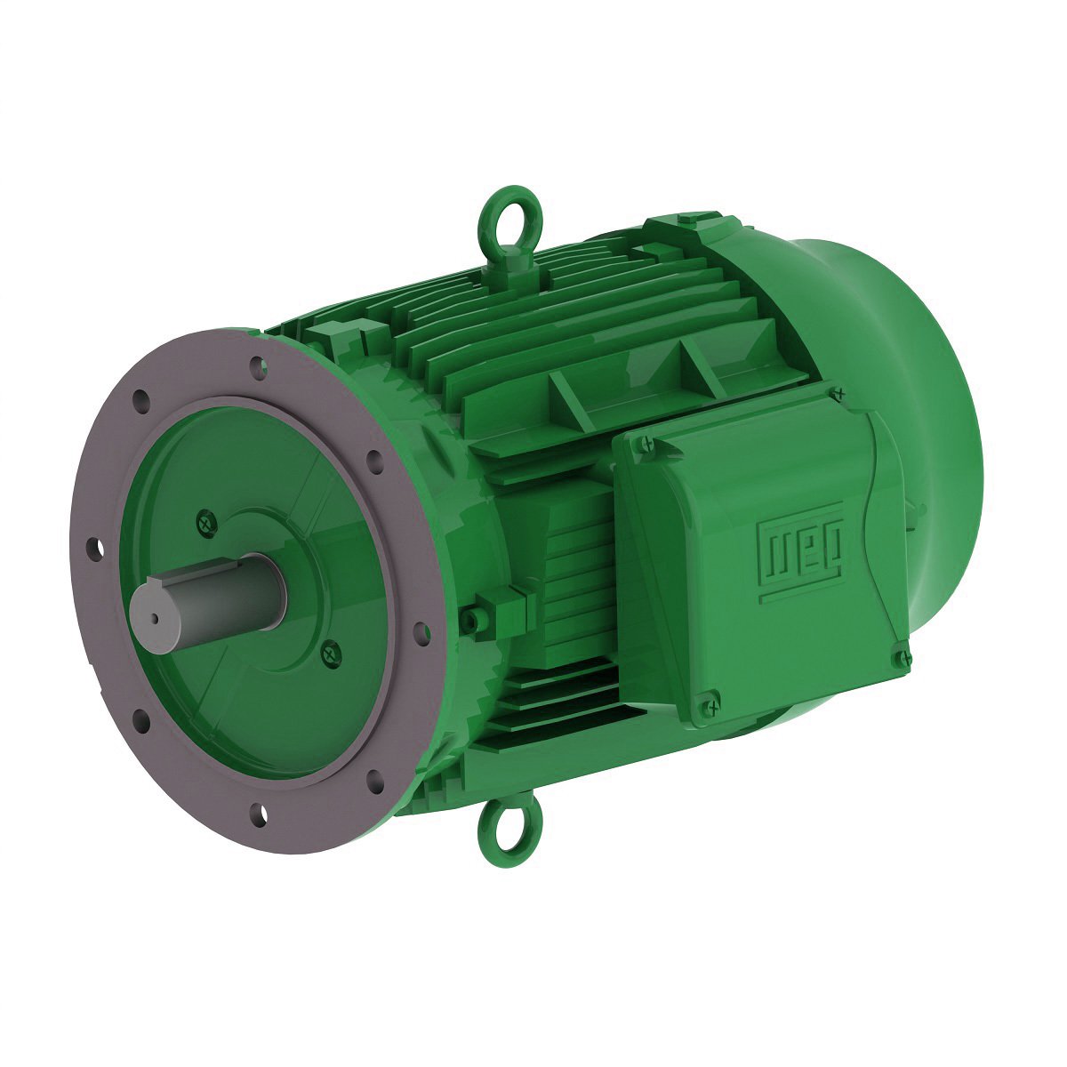 Electric motor Remx DG-160L-42-6