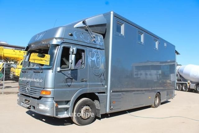 Lastwagen Mercedes Benz 1223