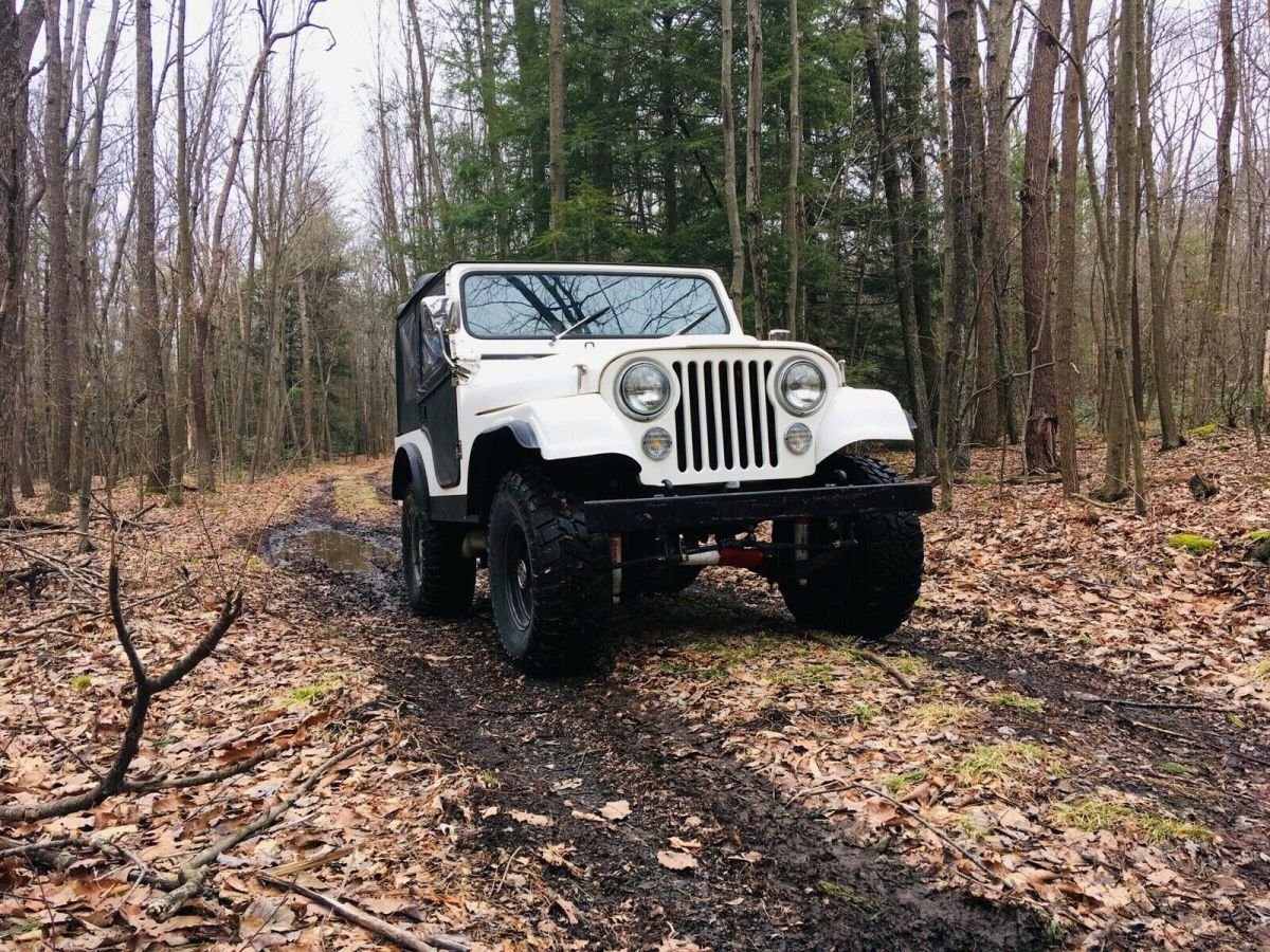 Transporter Willys CJ -5