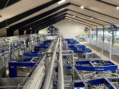 DeLaval Liegeboxenbelag CR20