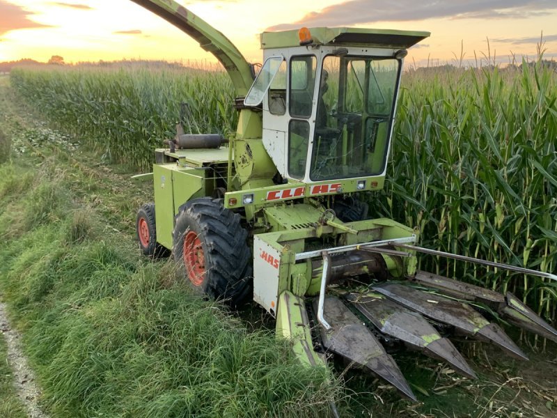 CLAAS JAGUAR 80 SF