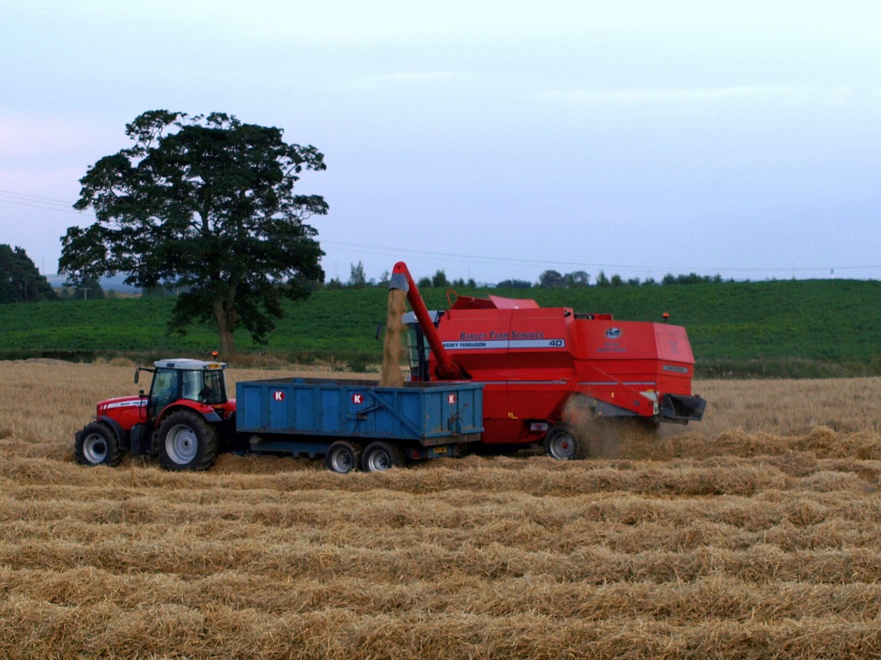 Massey Ferguson, photo of a vehicle of the same brand