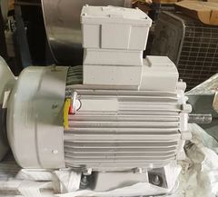 Loher ANGA-100LB-02