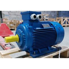 Wonder WE 132S-6