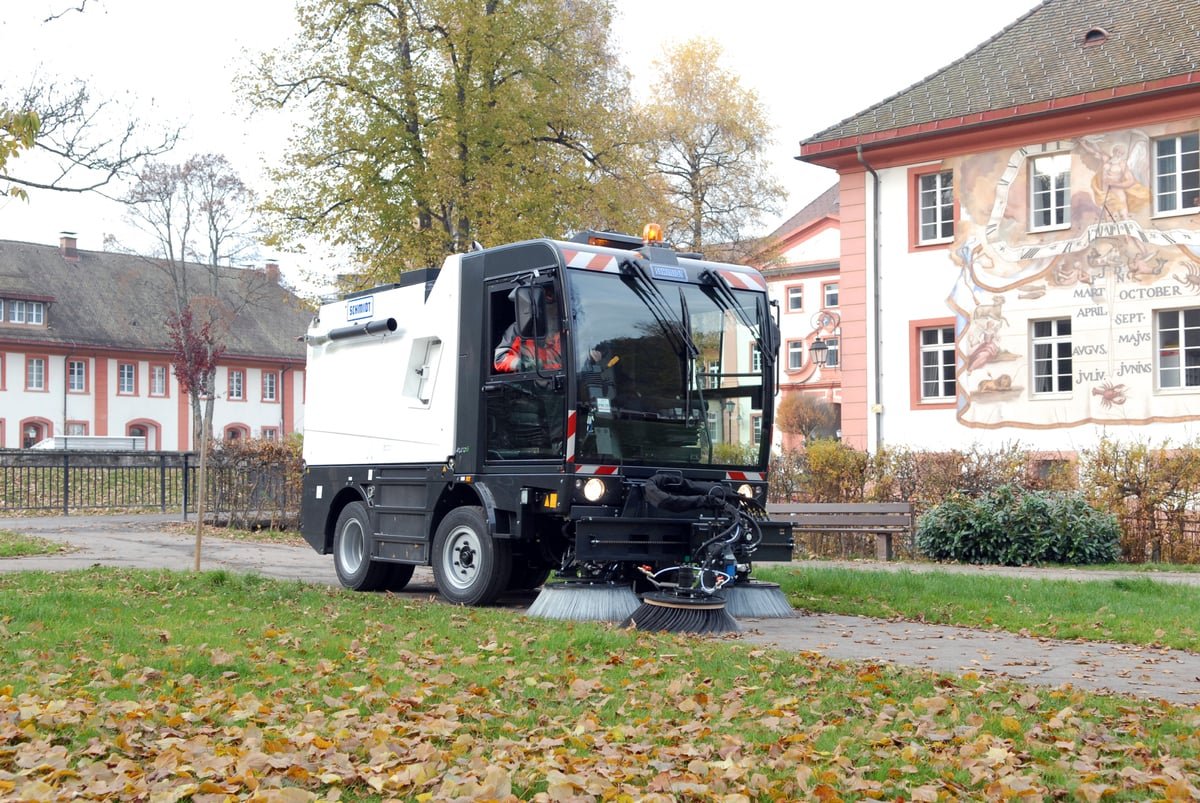Schmidt Cleango