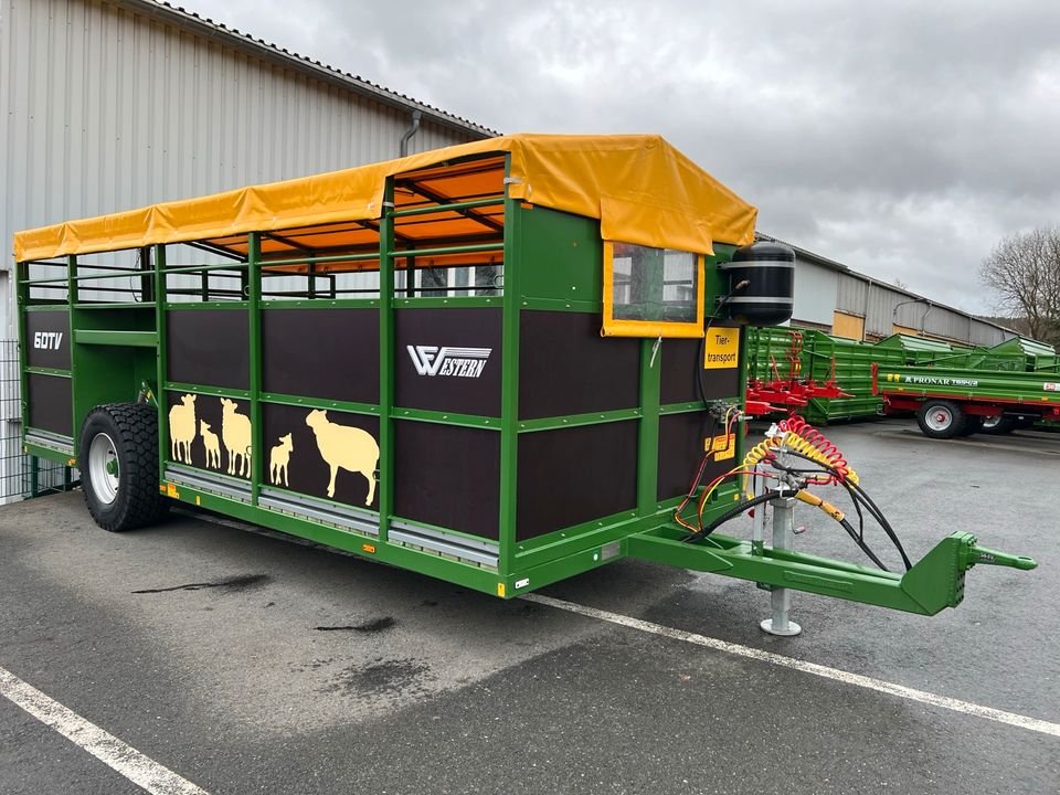 Car trailers up to 3.5 t Lmc 530 K DOMINANT