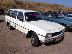 Peugeot 5D FAMILIALE 504-F20/2900