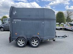 Westfalia JUPITER XL