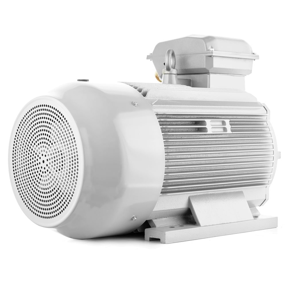 Electric motor Intem EG-315M-2