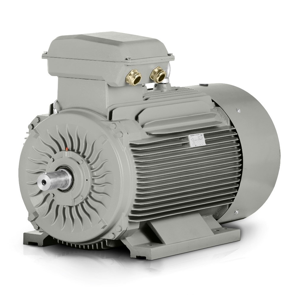 Electric motor Remx DG-315S-85-6