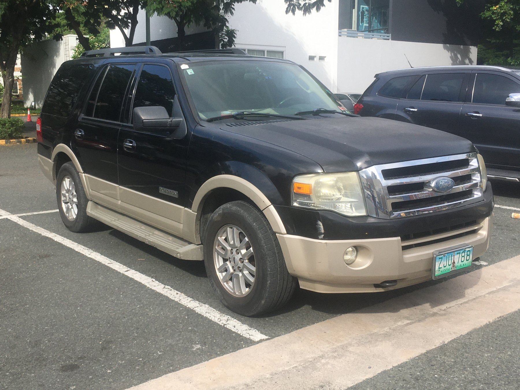 Truck Ford EXPEDITION FLEX FUEL