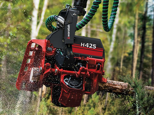 Waratah H427X