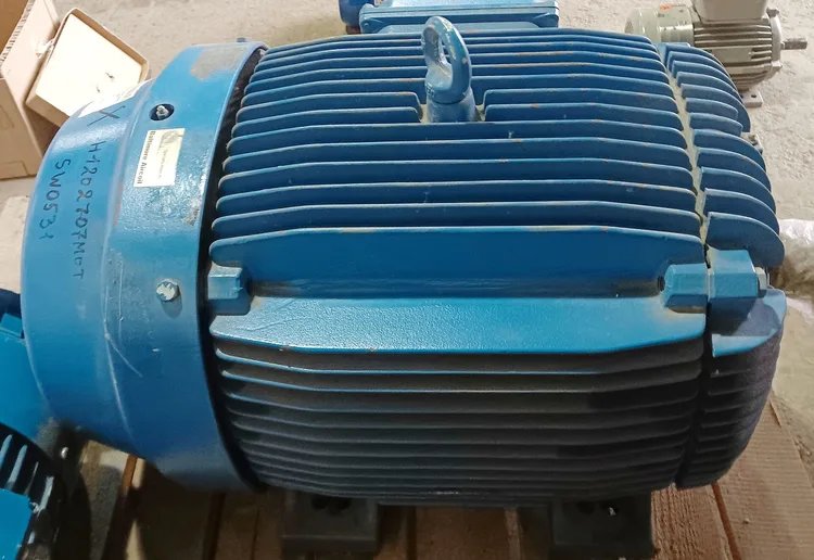 Electric motor Remx DG-225S-60-8