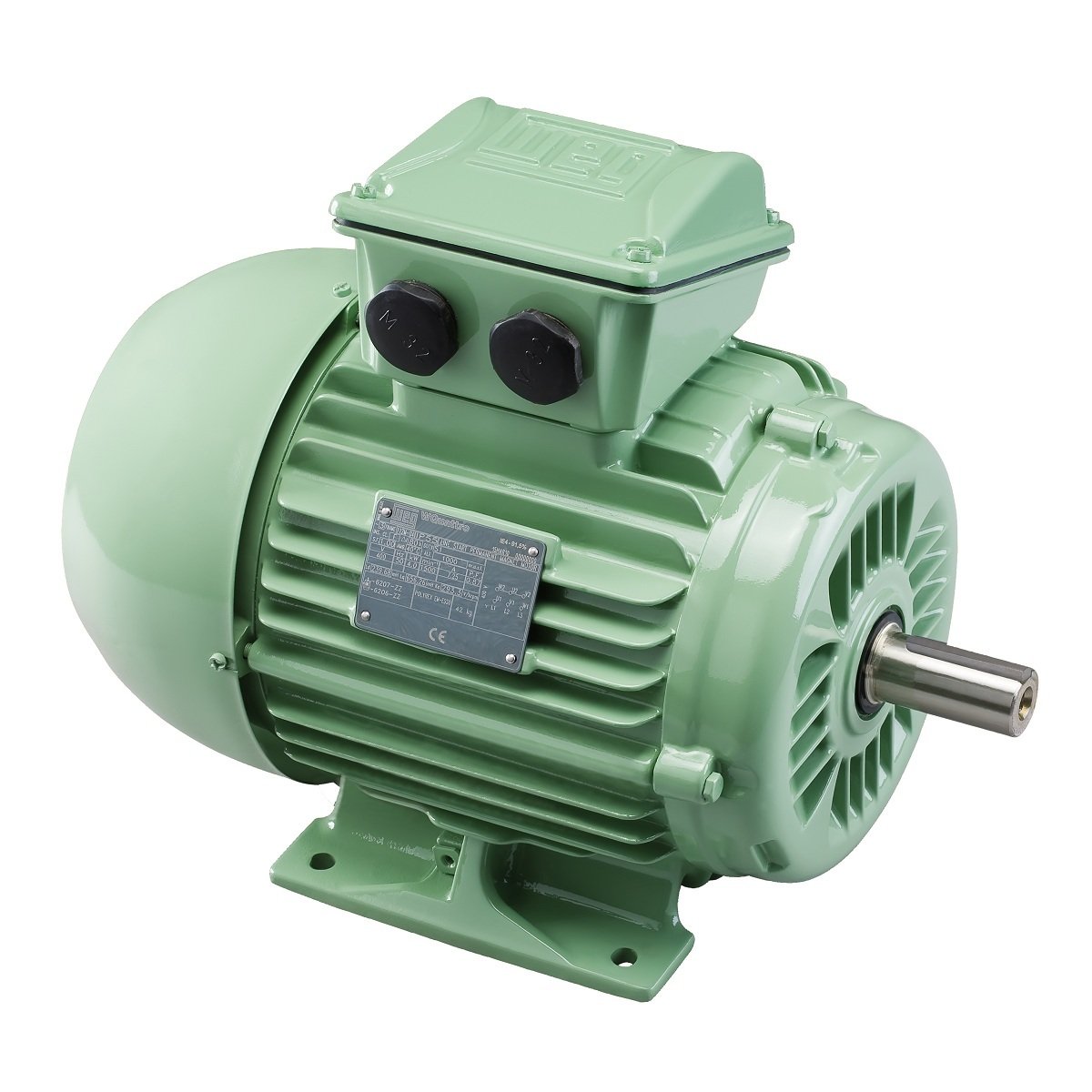 Elektromotor WAT Q3H90L2D