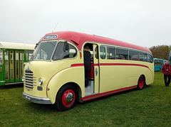 Bedford D/D BUS/ COACH