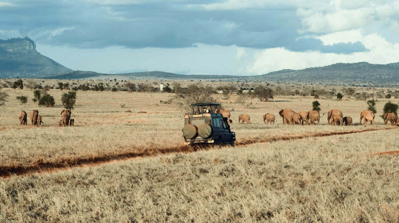 Anhänger Poltrail AFRICA