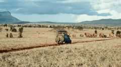 Poltrail AFRICA