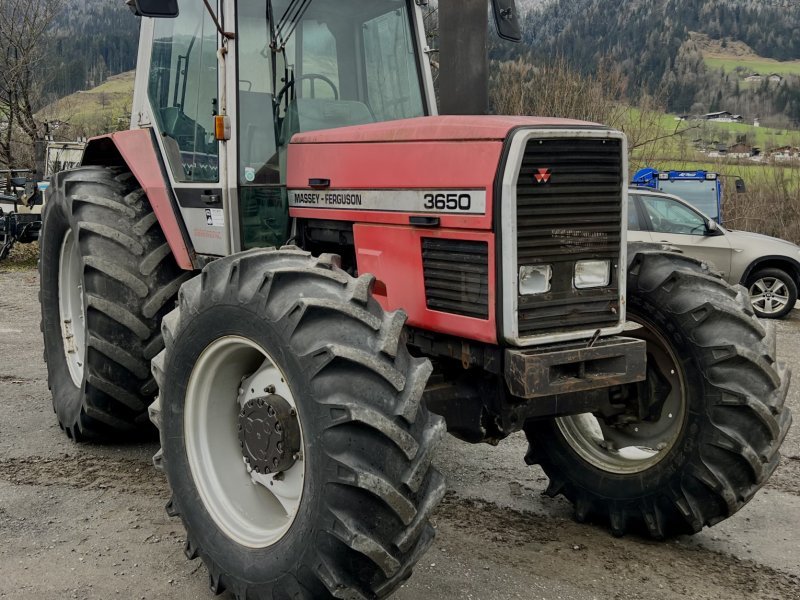 Tractor Massey Ferguson MF 3650