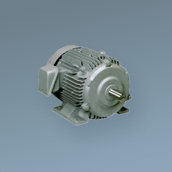 Electric motor Hitachi TFO-LKK