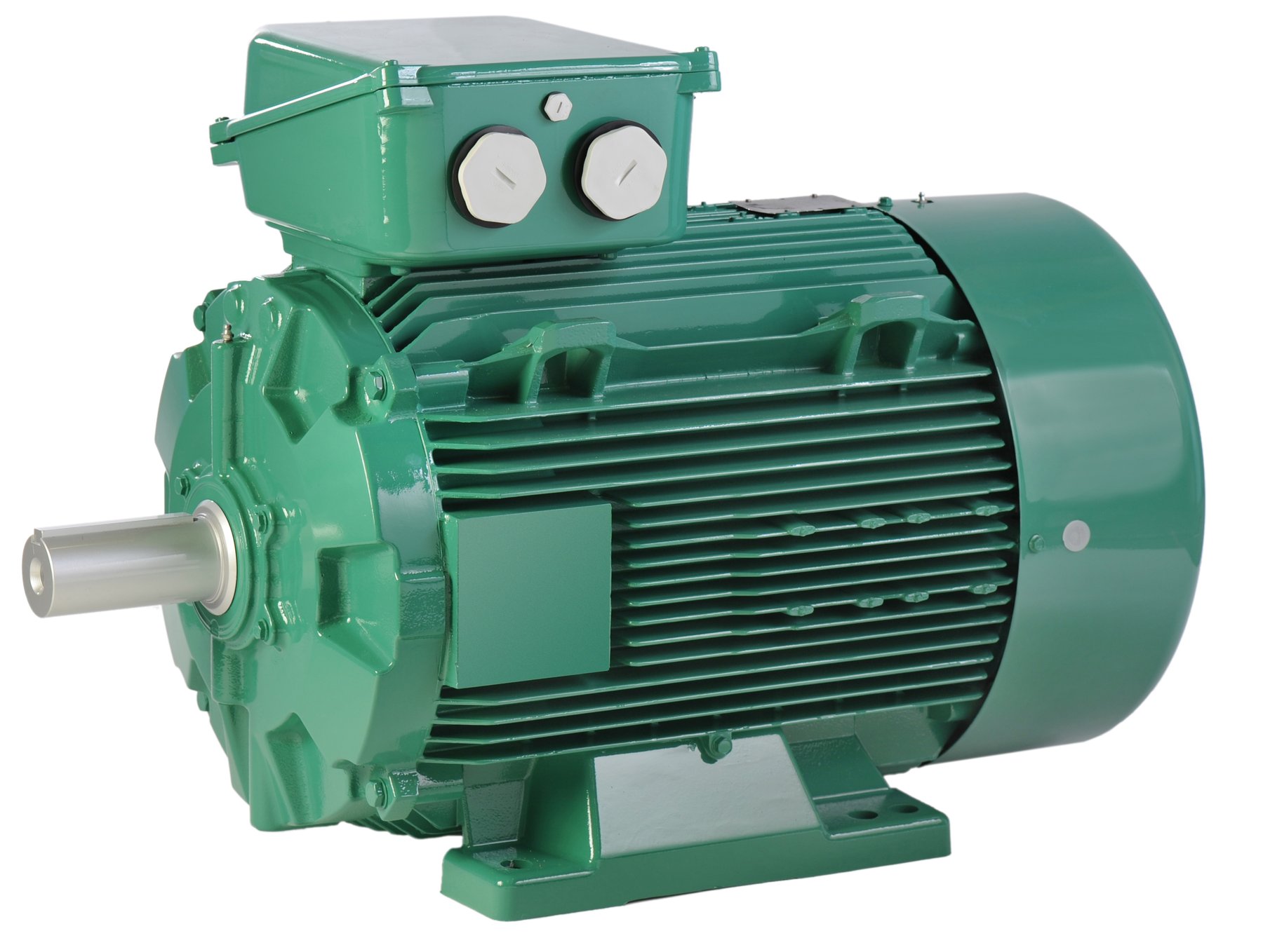 Electric motor Leroy Somer LSES180M
