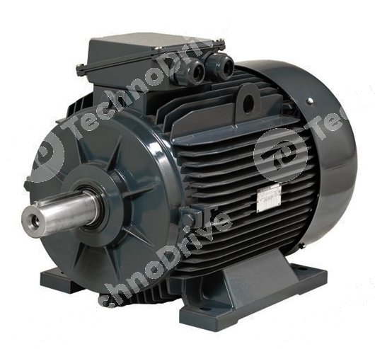Elektromotor EMT Y2E 315M4