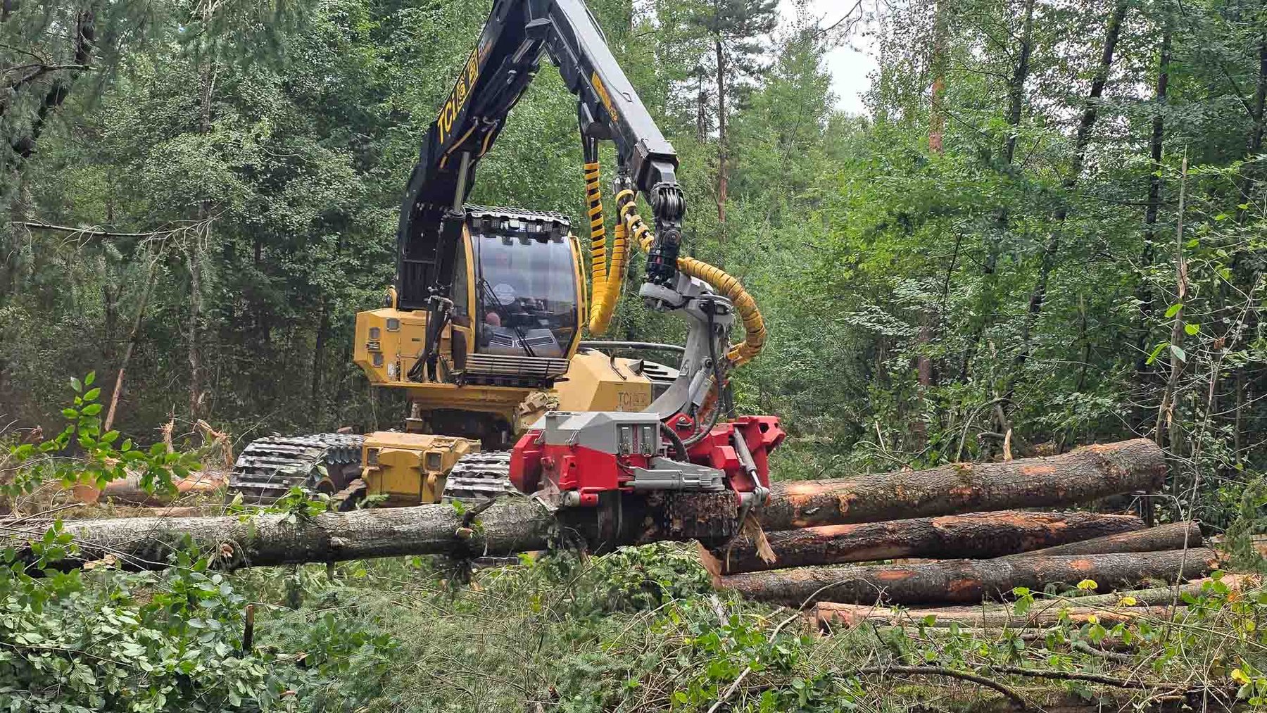 Maschine Log Max 6000V Top Saw