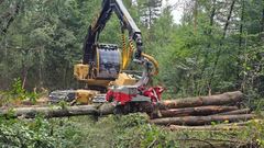 Log Max 6000V Top Saw