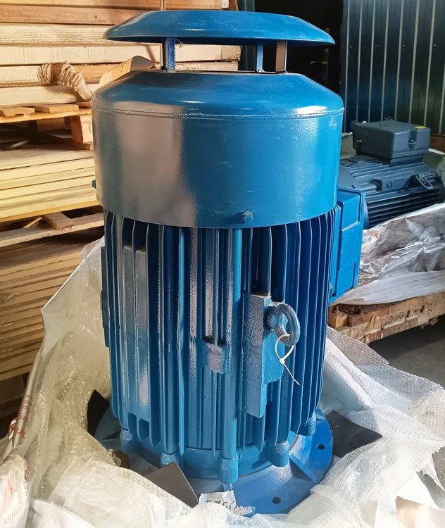 Electric motor Loher ANGK-160MB-06
