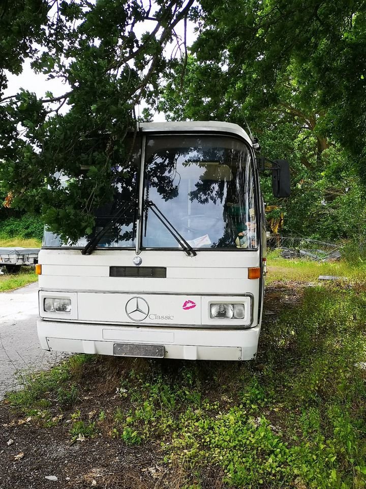 Truck Mercedes Benz O 303-11R
