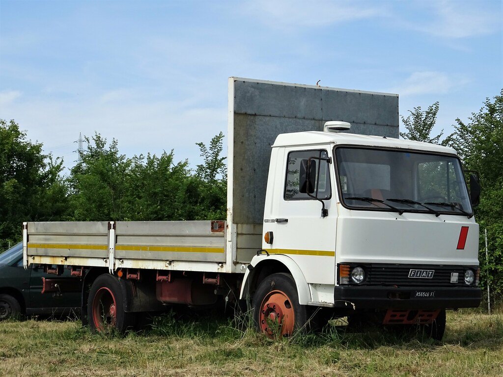 Truck Fiat 100 F 13/1