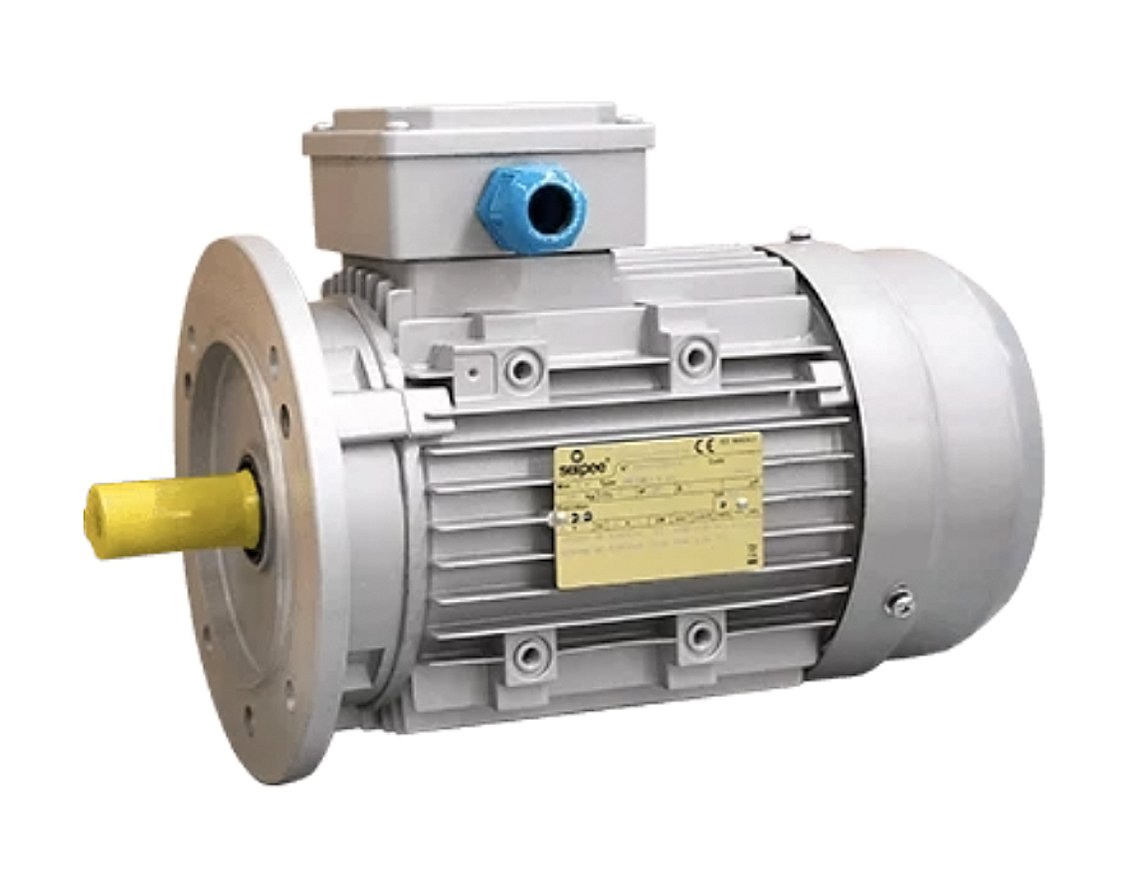 Electric motor CEG MT80A2-FHAH H80A-2