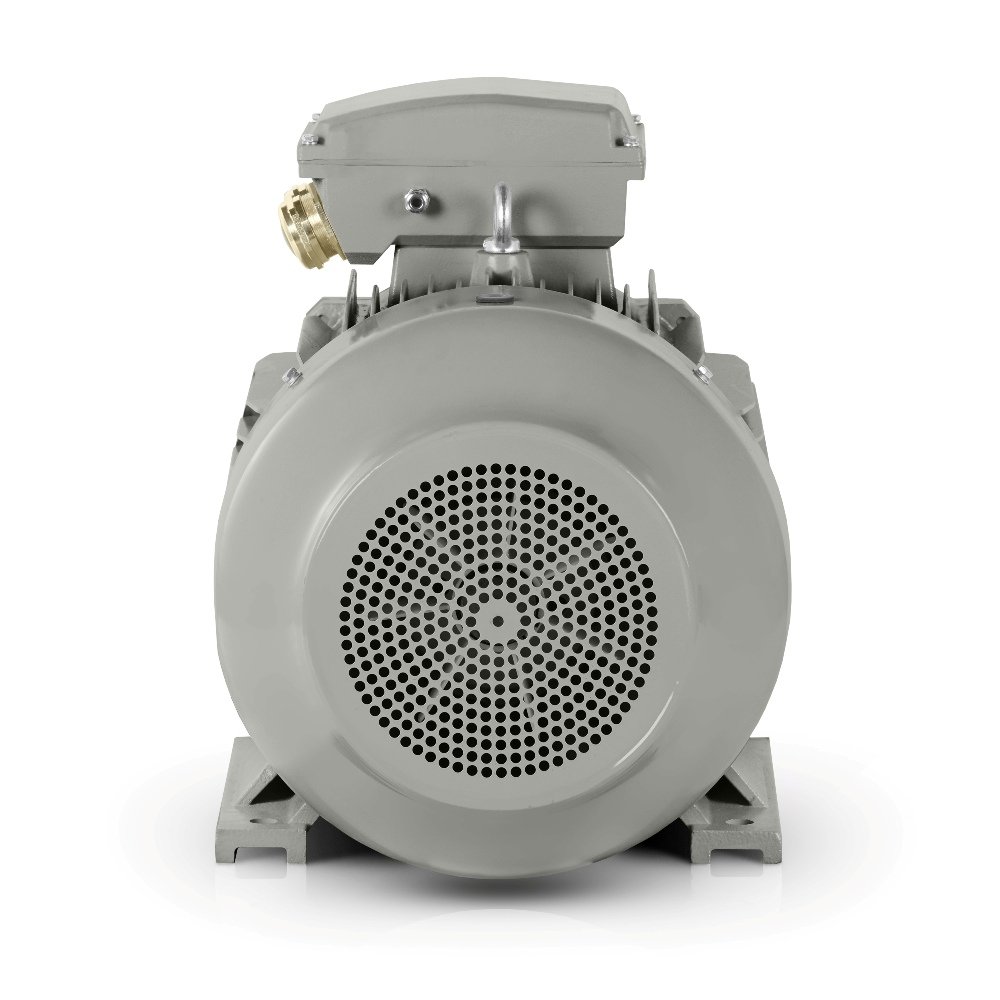 Electric motor Remx DG-280M-80-4