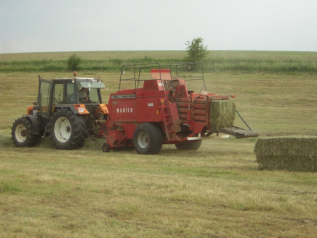 Tractor Massey Ferguson 155