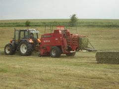 Massey Ferguson 155