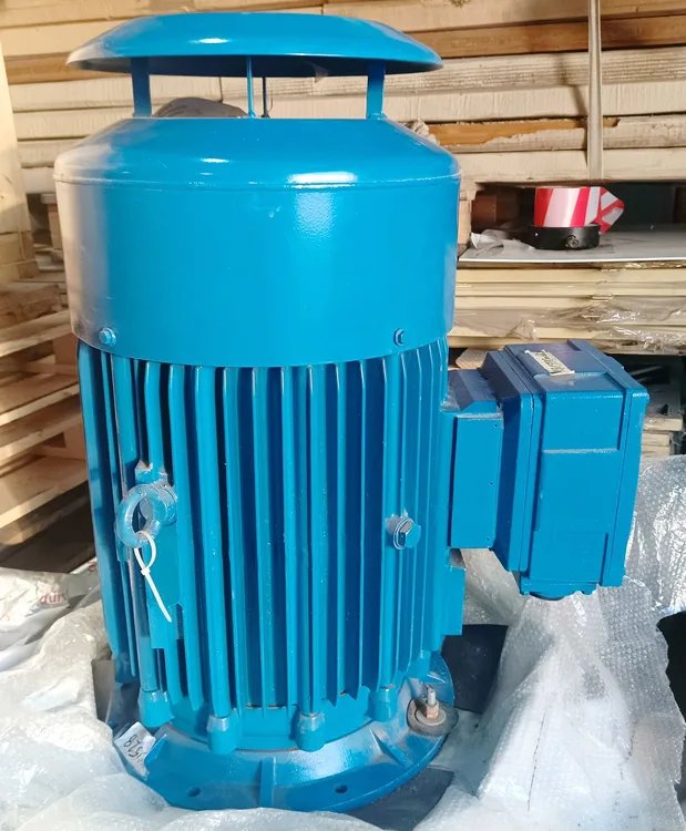 Electric motor Loher DNGW-132MT-04