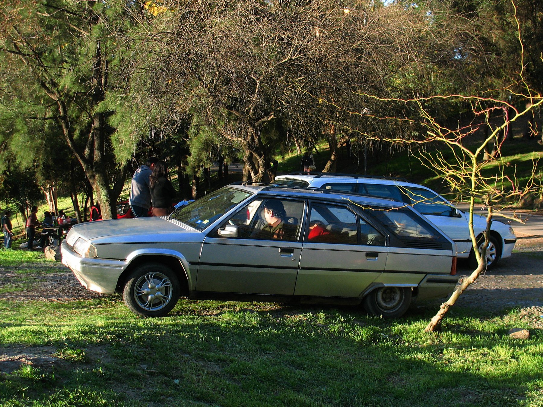 Van Citroën BX 19 TRS BREAK SERVICE