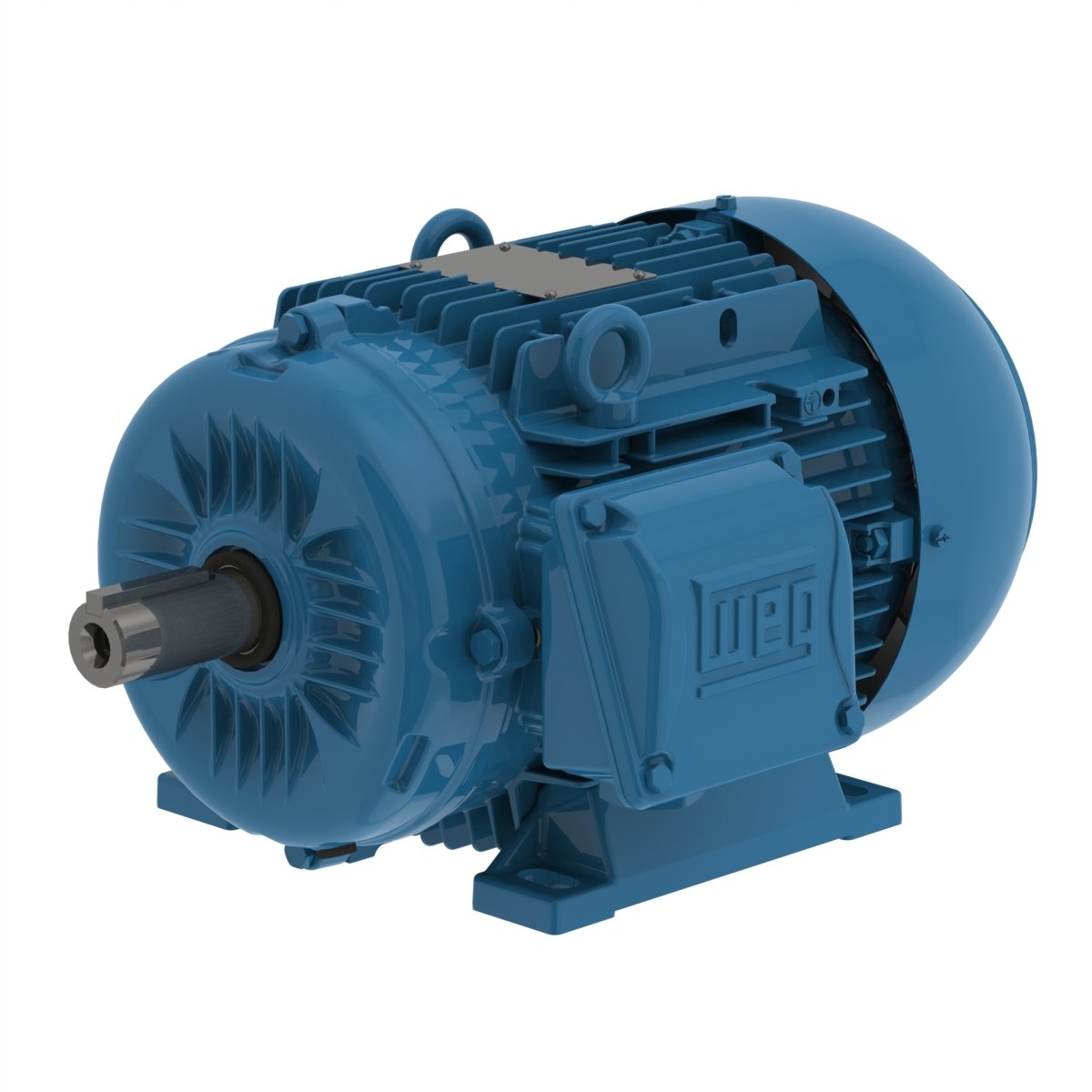 Electric motor WE 1A132M1-8