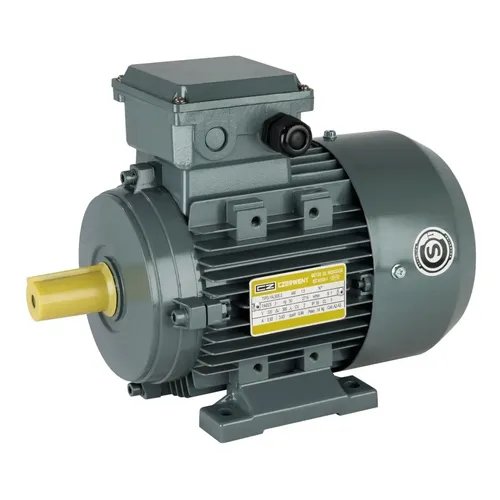 Elektromotor WE 1A100L2-8