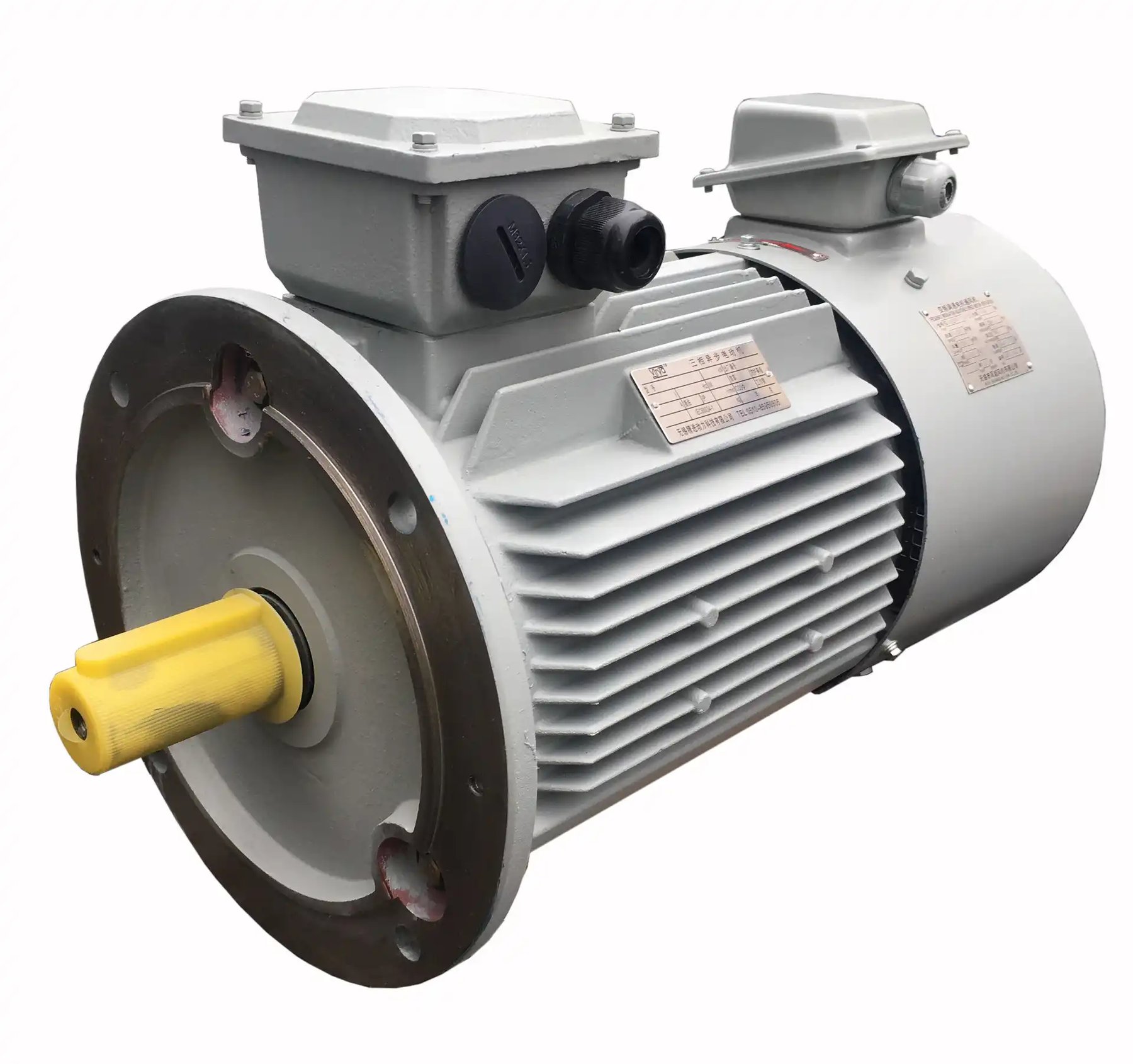 Electric motor S&l Y2VP-180M-2