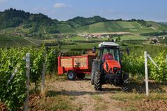 Agrifull 80-70 Frutteto