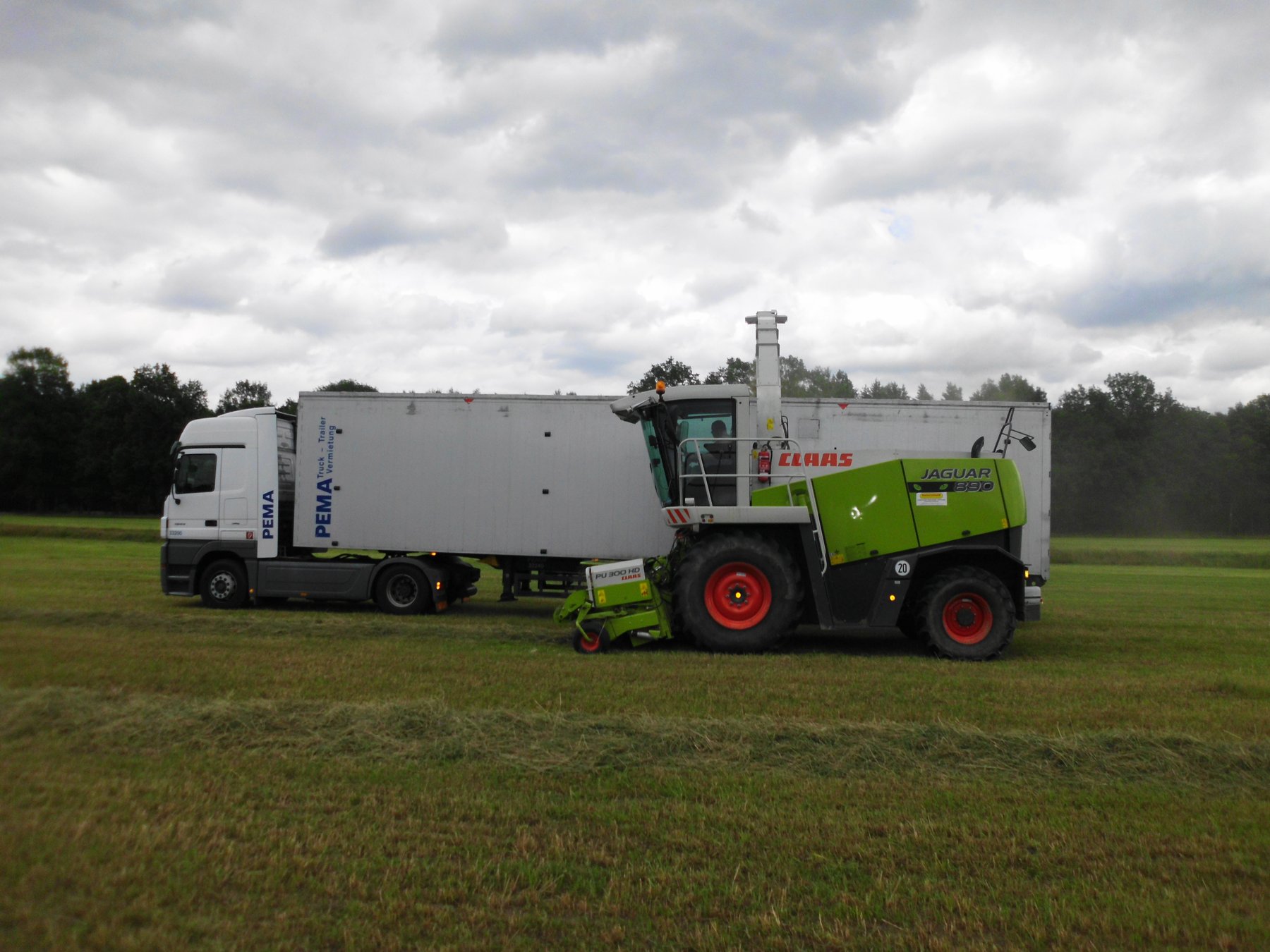 CLAAS Jaguar 890