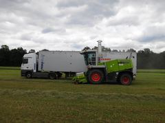 CLAAS Jaguar 890