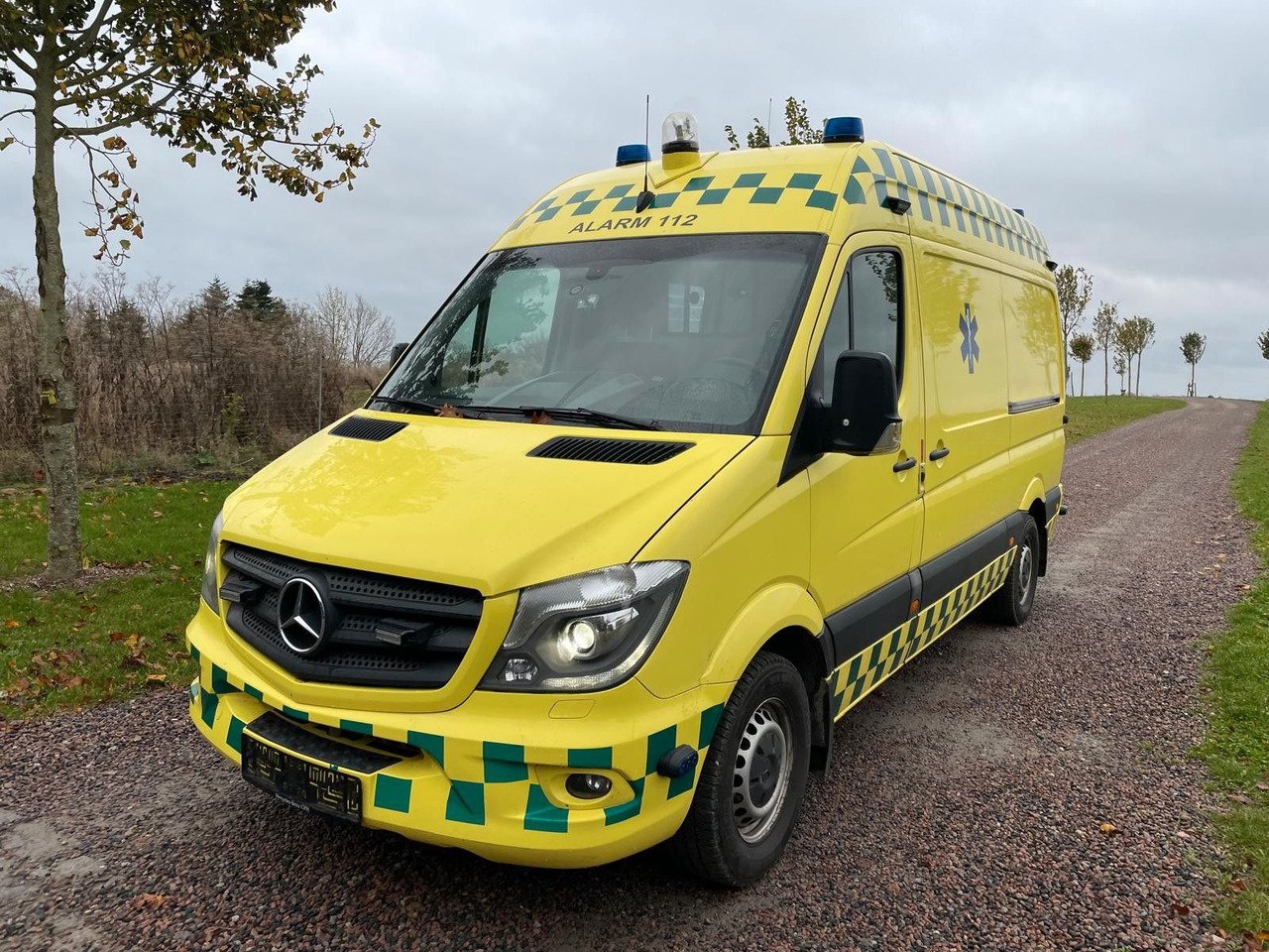 Van Mercedes Benz KASTEN 319 CDI - 3,5T
