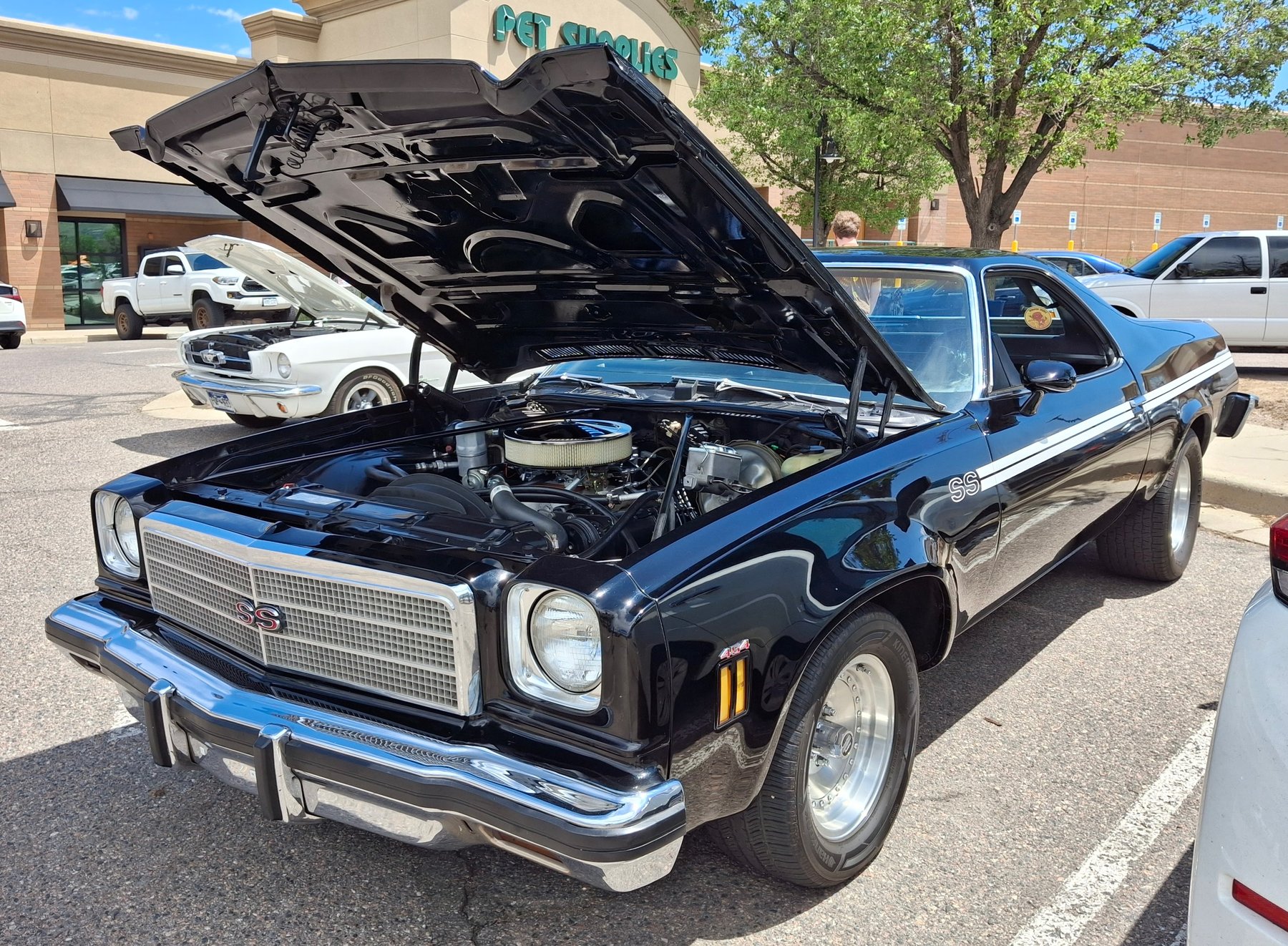 Van Chevrolet El Camino SS