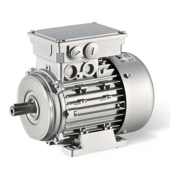 Electric motor Lenze MHERAXX100-12
