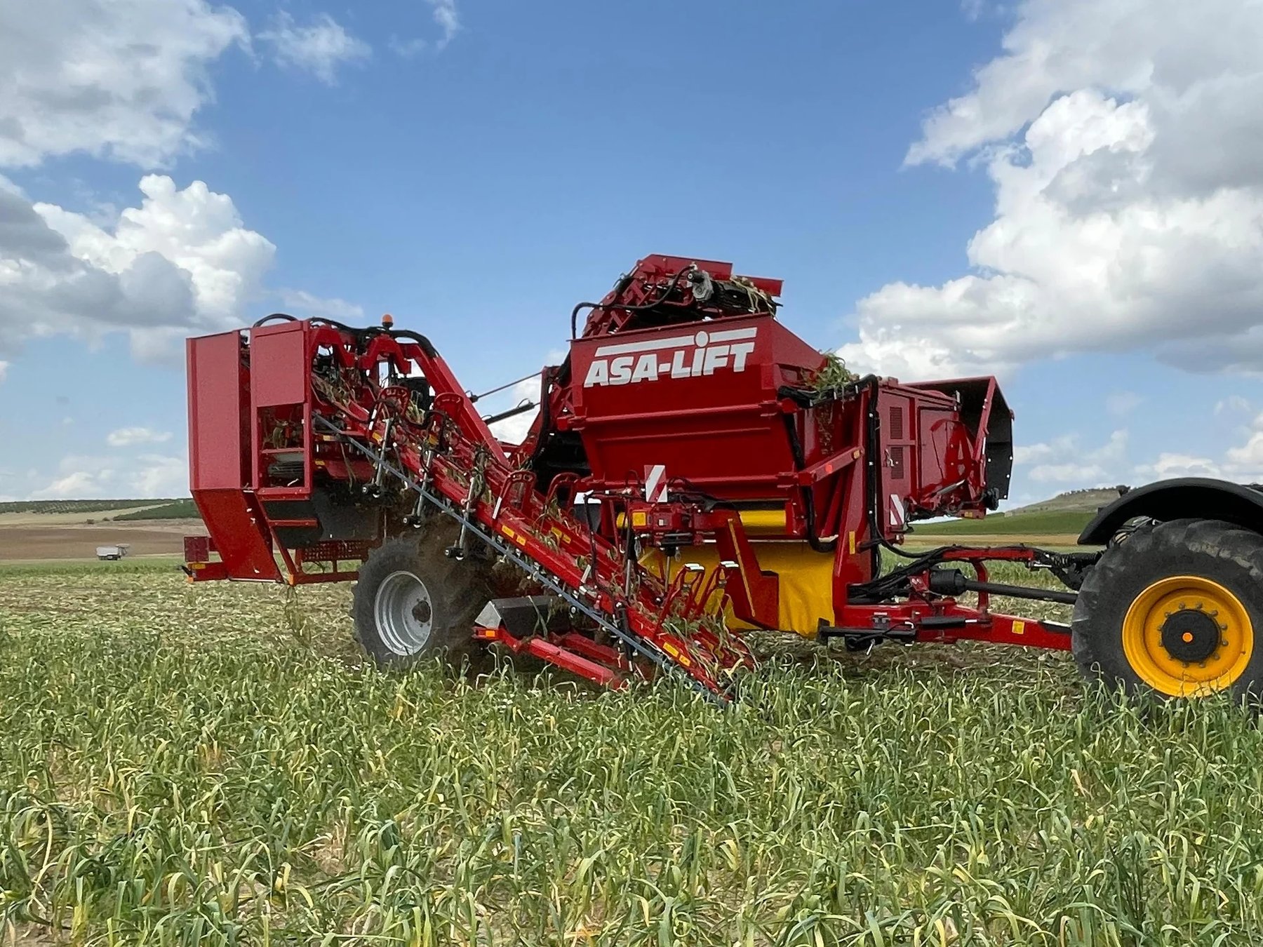 Fruit & vegetable equipment ASA-LIFT / GRIMME T-260 Garlic