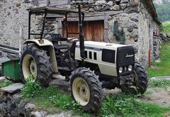 Sdf Lamborghini 55 (DT)